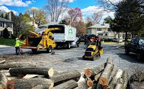 Seasonal Cleanup (Spring/Fall) in Edmonton, KY